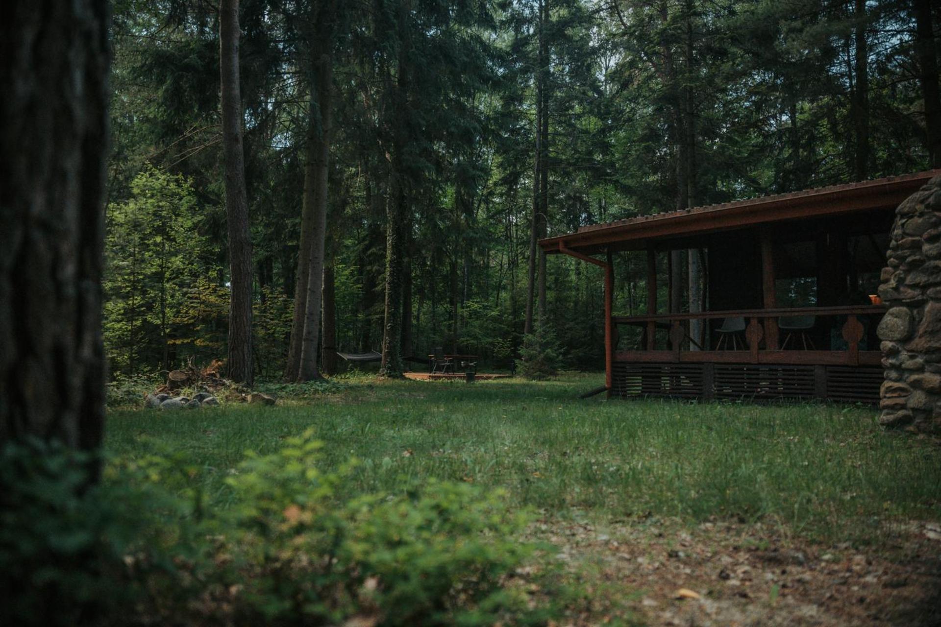 Forest Cabin - 50Min Od Warszawy Wola Polska Exterior foto
