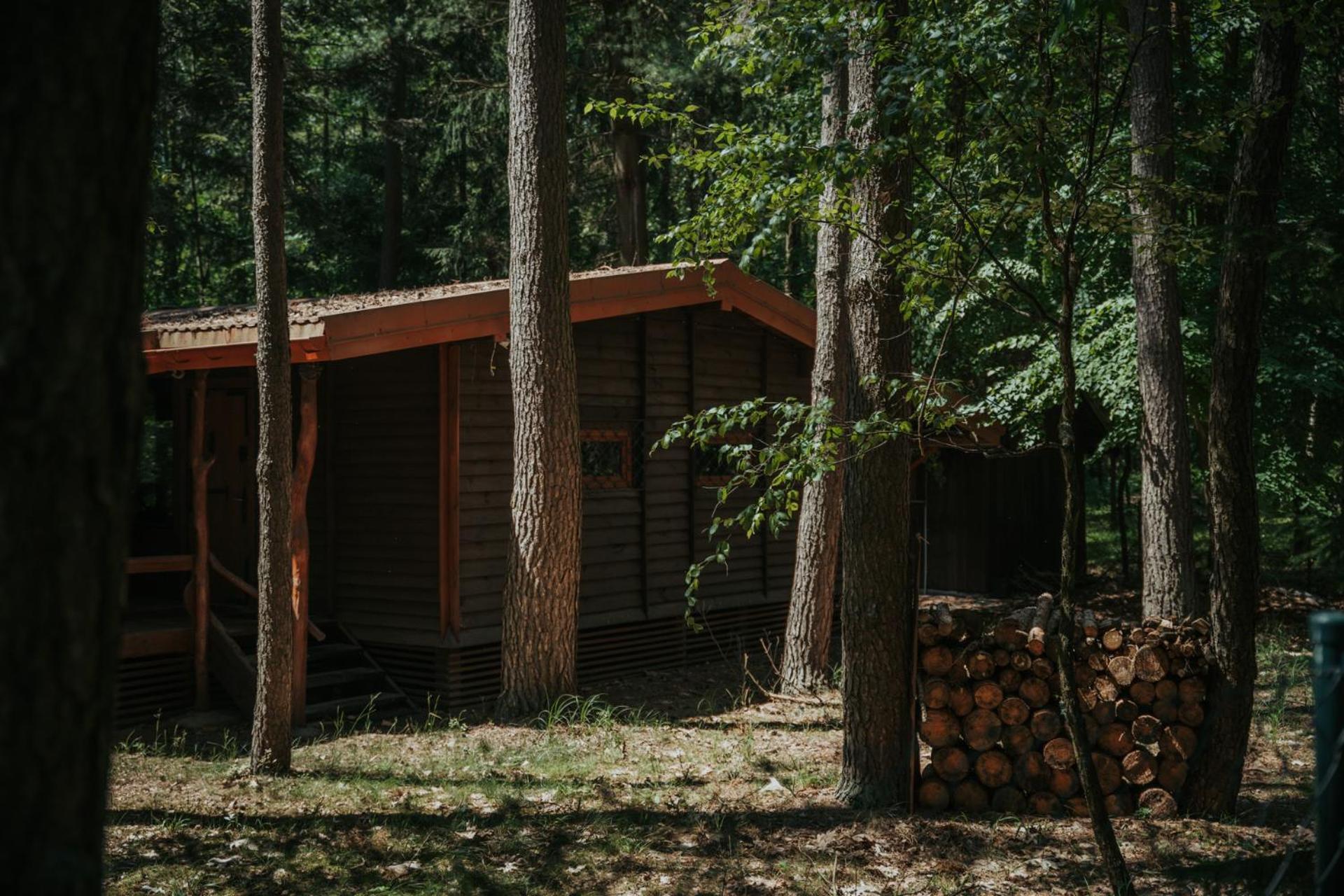 Forest Cabin - 50Min Od Warszawy Wola Polska Exterior foto