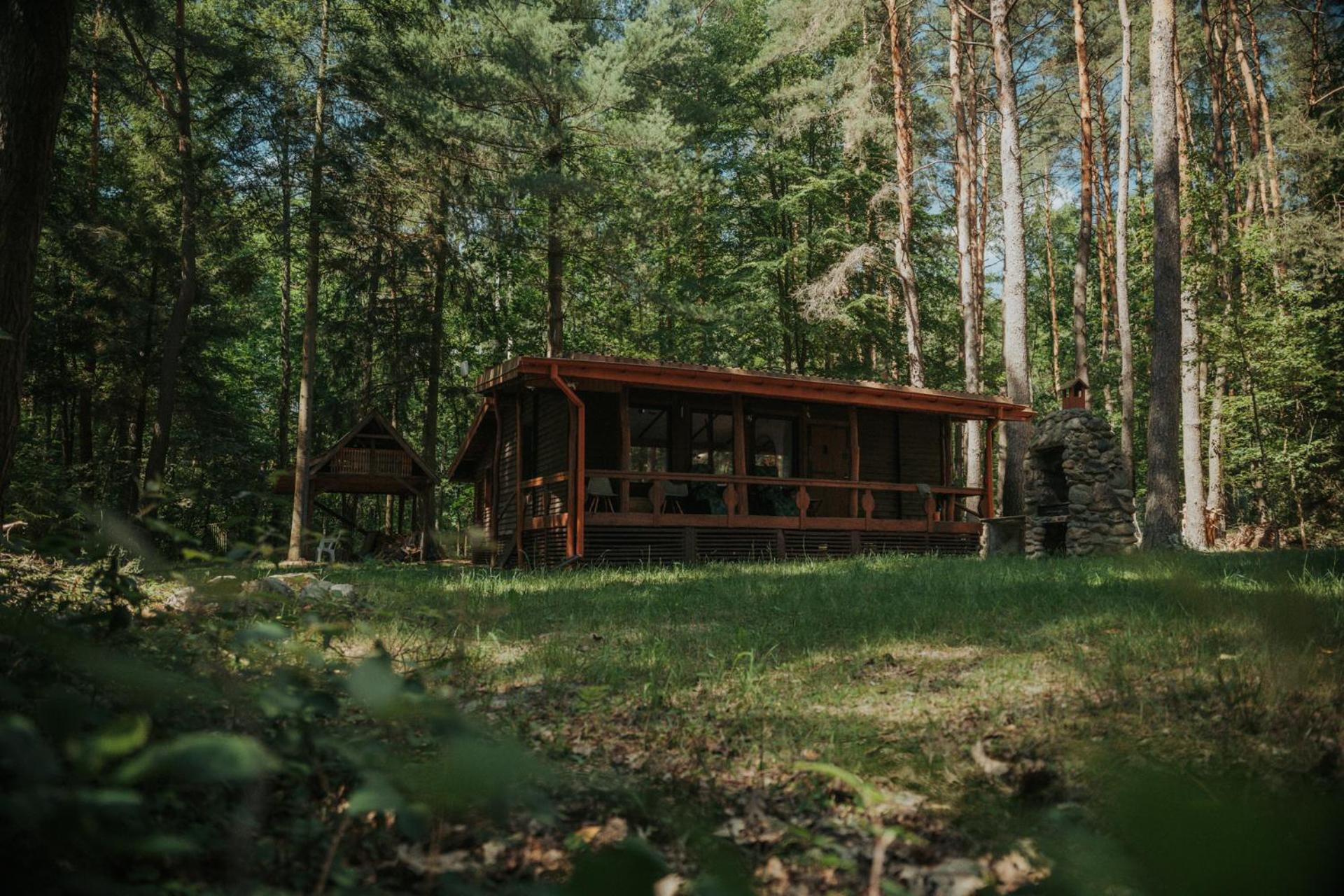 Forest Cabin - 50Min Od Warszawy Wola Polska Exterior foto