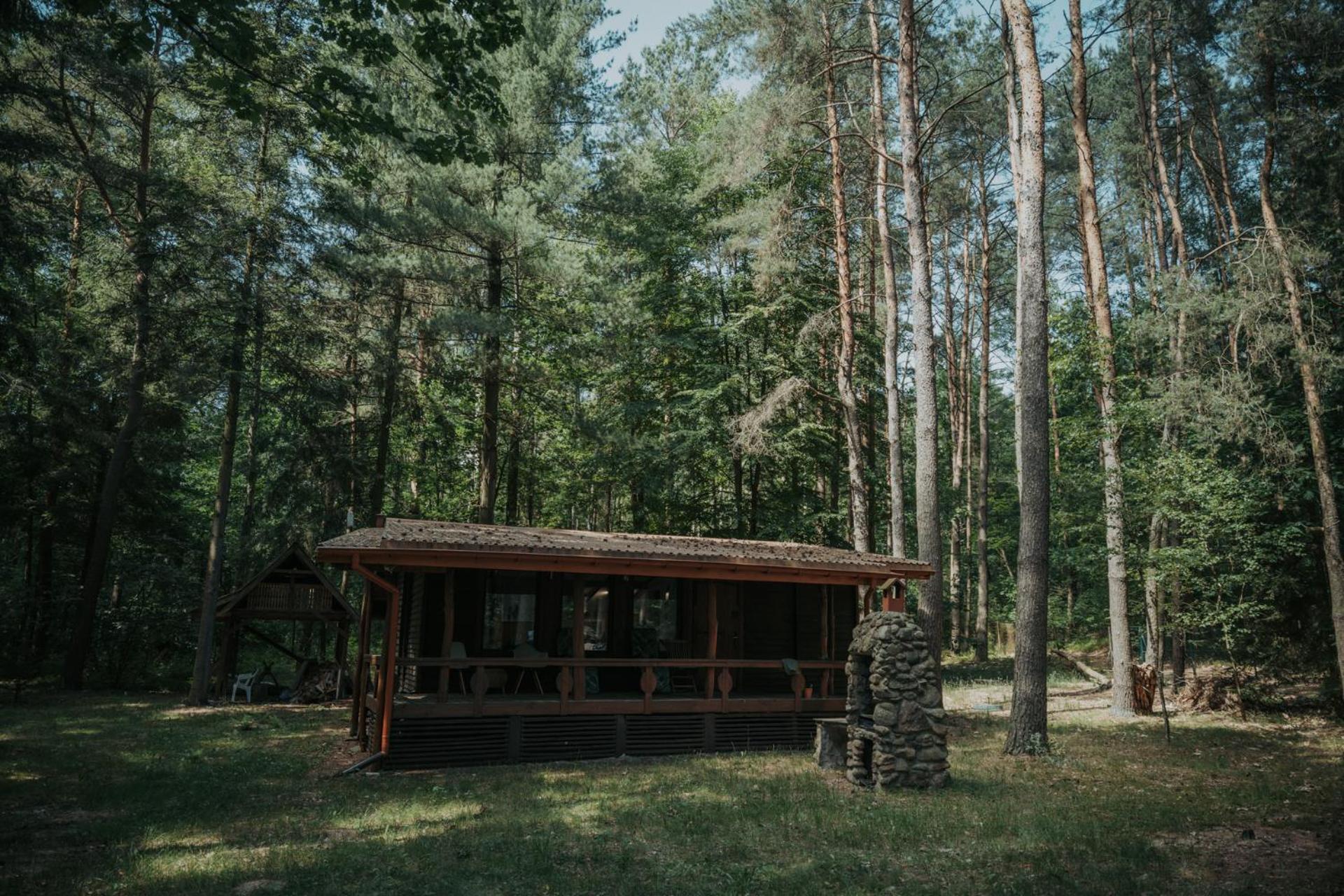 Forest Cabin - 50Min Od Warszawy Wola Polska Exterior foto